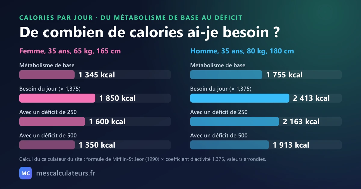 Du métabolisme de base au besoin du jour pour une femme de 35 ans, 65 kg, 165 cm : 1 345 kcal de base, 1 850 kcal par jour avec un coefficient de 1,375, 1 600 avec un déficit de 250 et 1 350 avec un déficit de 500. Pour un homme de 35 ans, 80 kg, 180 cm : 1 755, 2 413, 2 163 et 1 913 kcal.